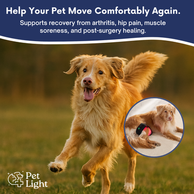 Pet Light™ Complete Care Kit