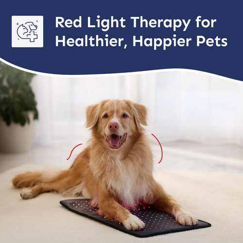 Red Light Therapy Mat for Pets