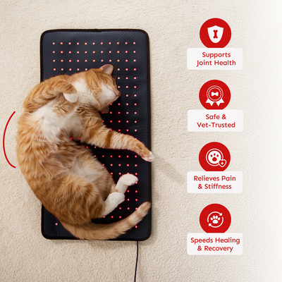 Pet Light™ Complete Care Kit