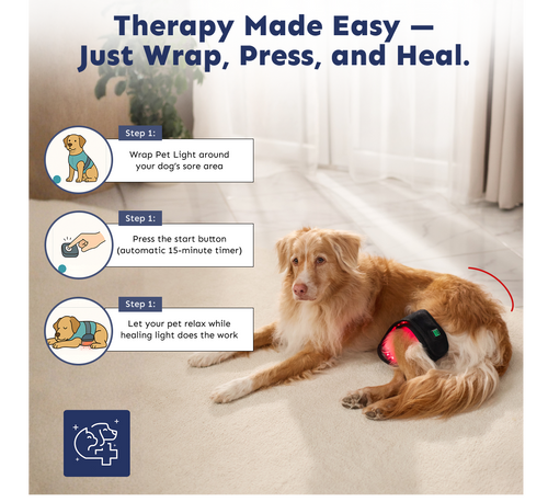 Pet Light™ Complete Care Kit