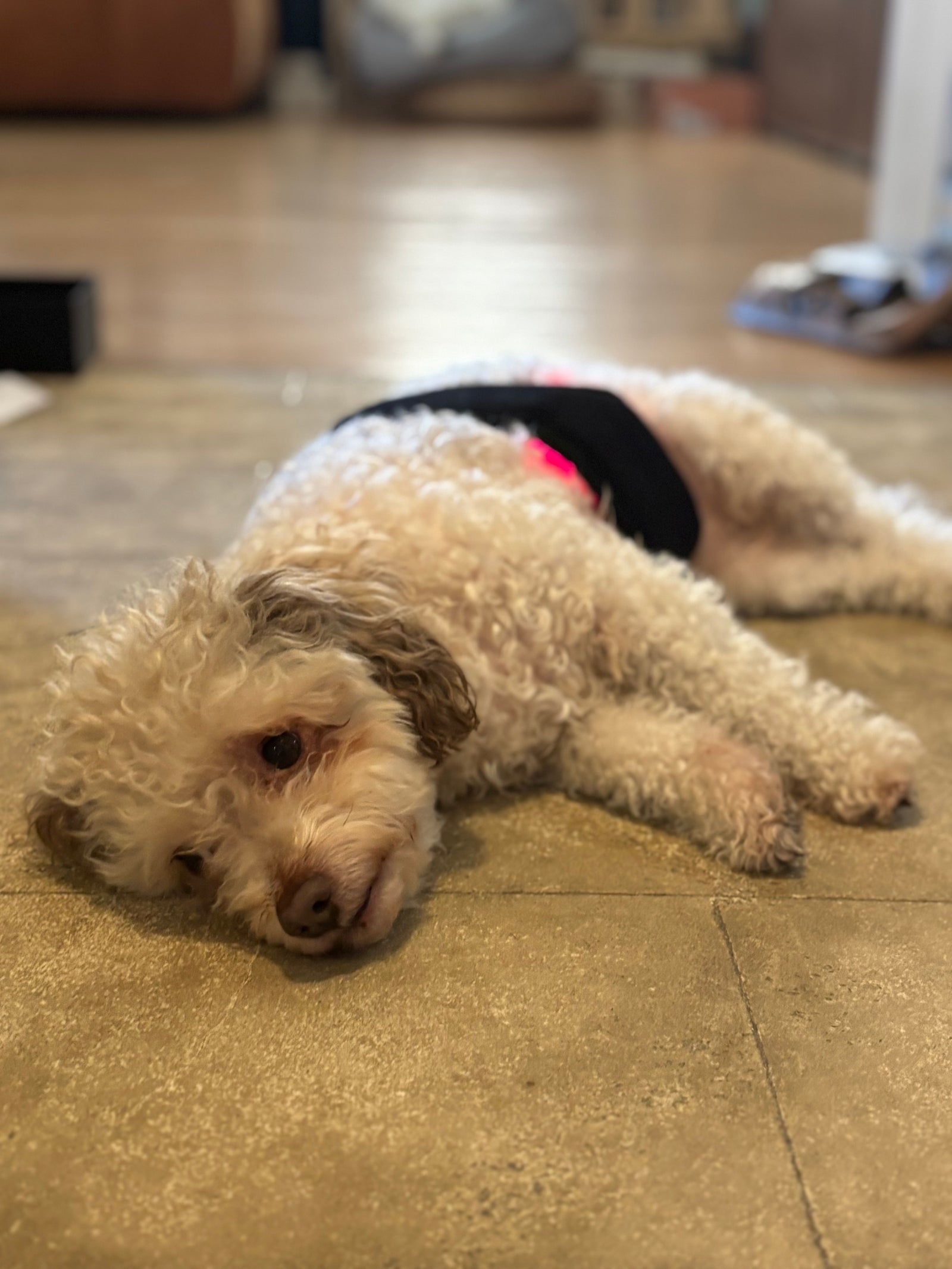 The Numbers Don't Lie