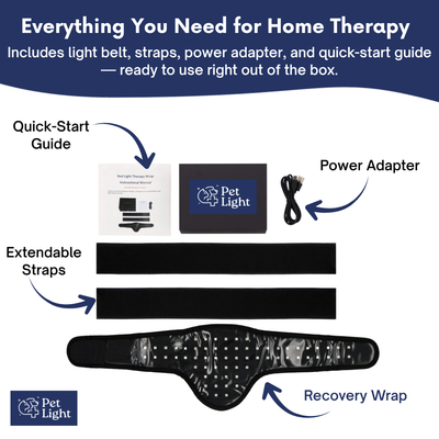 Red Light Therapy Belt for Pets