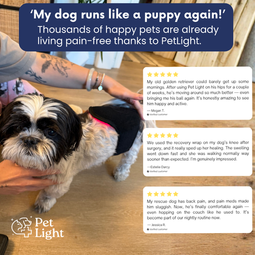Red Light Therapy Belt for Pets