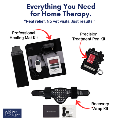 Pet Light™ Complete Care Kit